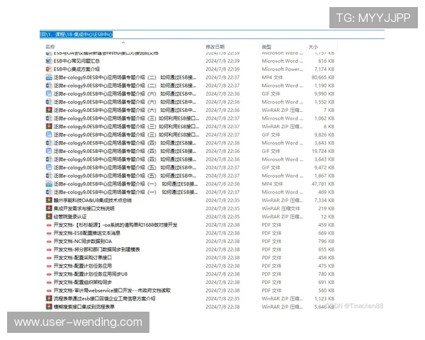 问鼎下载链接无法打开的原因分析及有效解决方案指南