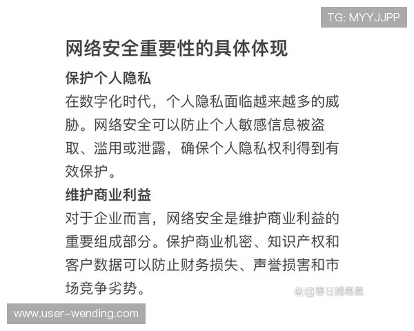 问鼎官方平台官网安全保障措施确保玩家账号信息安全与隐私保护